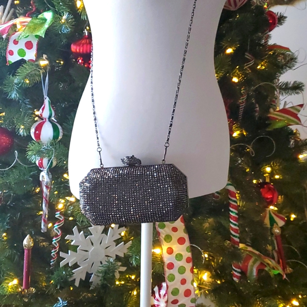 💎Real Collectibles by Adrienne Silver Clutch💎